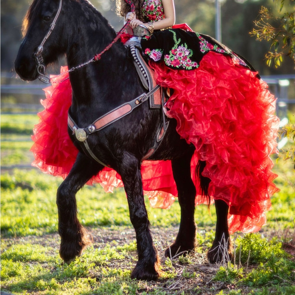 Quinceanera Red Charro Dress